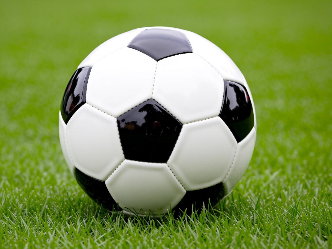 九游娱乐官网-“球速飙升，反应极速！高新区全民健身馆壁球赛场技术与速度的碰撞”  第1张