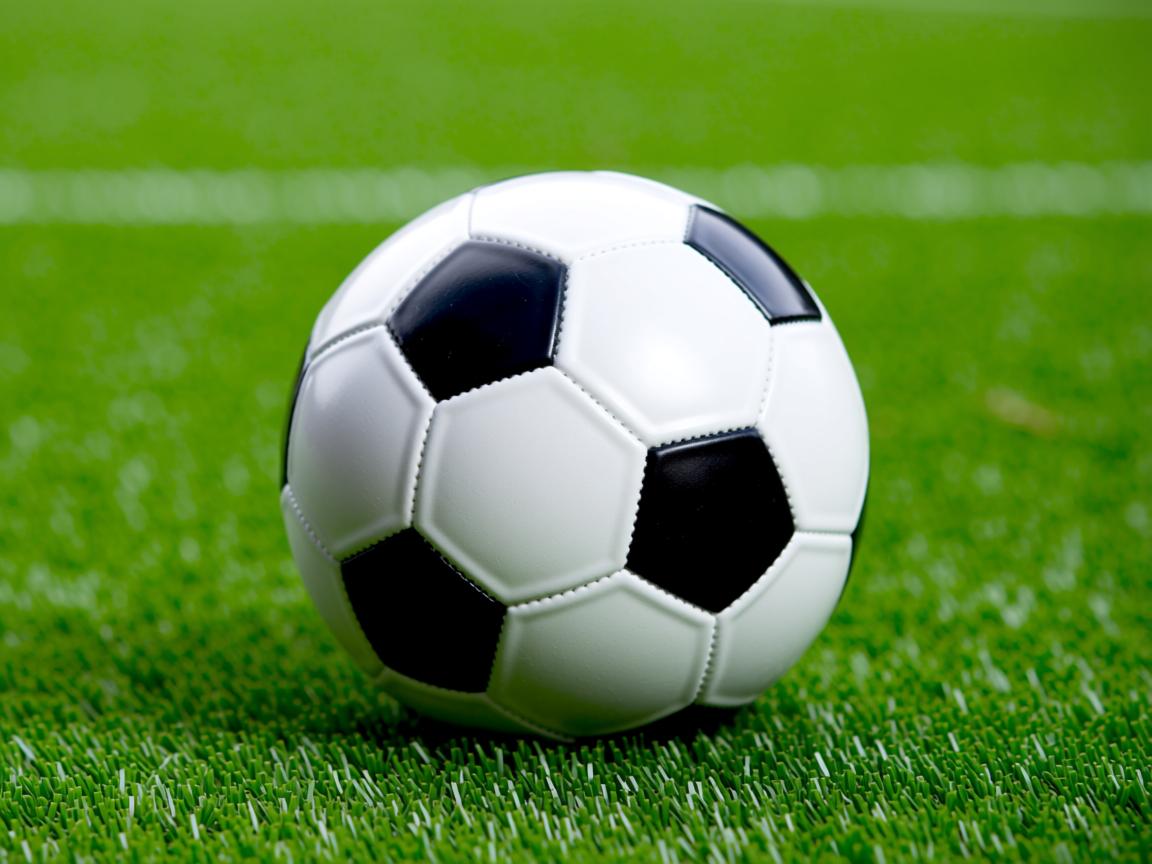 九游体育下载-“生死搏杀，四川省体育馆自由搏击赛火爆登场”  第1张