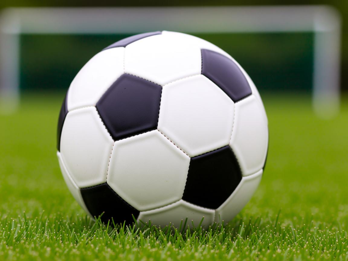 九游娱乐官方平台-“看壁球，等精彩！高新区全民健身馆赛事让你大呼过瘾”  第3张