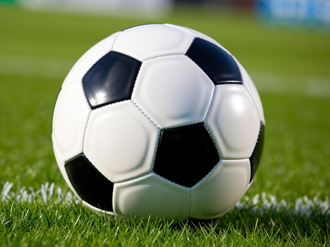 九游体育-中国三人篮球男队打出高节奏流畅配合,男子三人篮球中国队队员 第2张