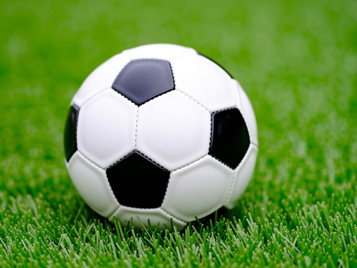 九游官网入口-中国女篮打造多点开花进攻格局,中国女篮真棒 第2张