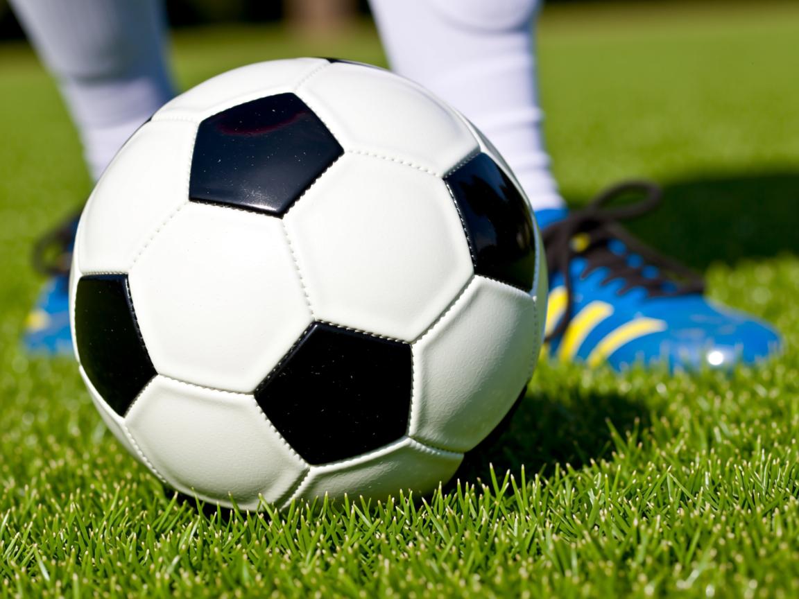 九游官网入口活动-博洛尼亚组织层次较高构建攻防完整系统，博洛尼亚改革  第2张