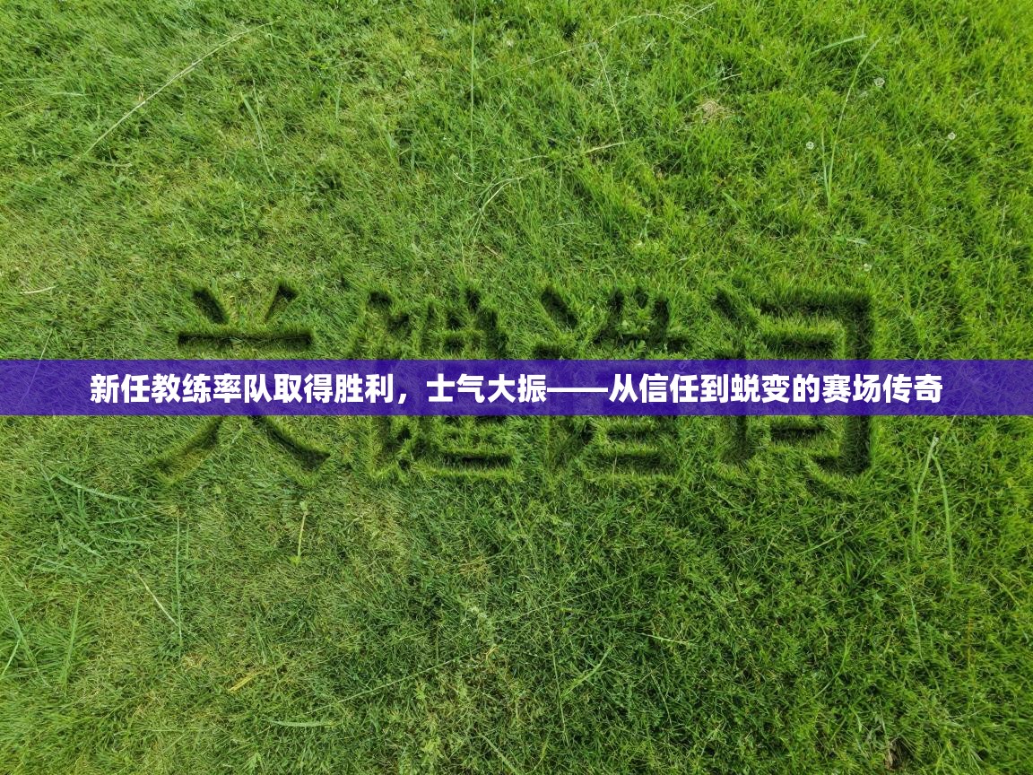 新任教练率队取得胜利，士气大振——从信任到蜕变的赛场传奇  第2张